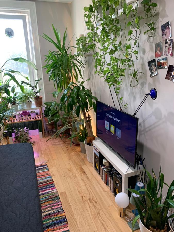 Urban Jungle Oasis In Queens! Hospedagem domiciliar Nova York